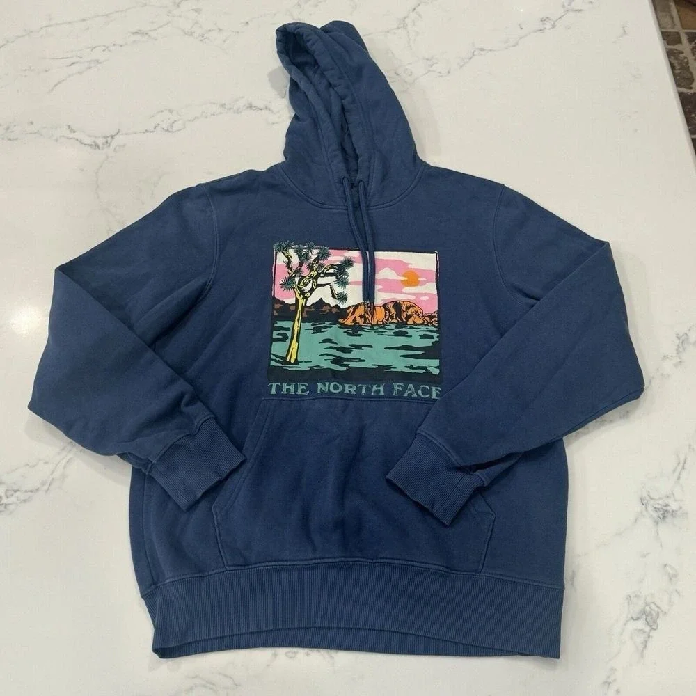 North‎ Face Graphic Hoodie Mens Small Blue Outdoor Streetwear Pullover